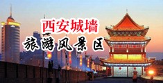 玩美女骚屄被肏高潮爽死了在线观看中国陕西-西安城墙旅游风景区